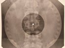 Who - Overture  X-RAY BONES RECORDS USSR 228