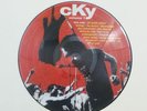 CKY Volume 1 CKY1 LP Vinyl VG++ Picture Disc Limited Edition 2003 Alt Rock RARE