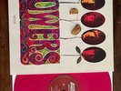 Rolling Stones Flowers MONO LP LIMITED Dark Pink COLORED 180g VINYL 2023