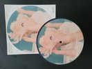 Madonna - Take a Bow picture disc, vynil 7