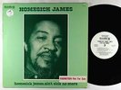 Homesick James - Homesick James, Ain't Sick No More LP - Bluesway VG+ PROMO