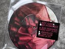 Lady Gaga Bad Romance 7  vinyl Picture Disc RARE