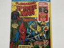 Amazing Spider-Man The Mark of The Man-Wolf Book Record Set Vinyl 45rpm PR10 BV1