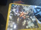 pink floyd obscured by clouds shap 4020 A-5-1-7 vinyl