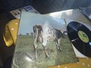 Pink Floyd Atom Heart Mother Vinyl 12