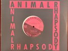 The Raincoats Rough Trade 12 Inch EP Animal Rhapsody + 3