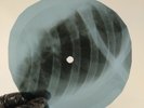 HOWLIN WOLF SPOONFUL X-Ray USSR Record Roentgen Bone Ribs Music Vinyl