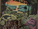 Fortunate Youth “Irie State of Mind” Vinyl, Limited Edition, 2011
