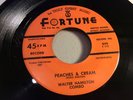 WALTER HAMILTON-FORTUNE 849-PEACHES & CREAM/SHERRY BLUES-HOT DETROIT BLUES INSTR