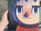 Animal Crossing New Leaf Rainy Days Rainy Nights 3DS VGM Vinyl Not Moonshake