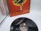 Siouxsie And The Banshees, Cities In Dust, US PROMO 12