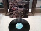 Jimmy Buffet Down To Earth Vintage Vinyl LP