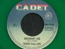 CALLIER, Terry - Ordinary Joe (reissue) - Vinyl (7