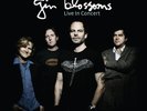 Gin Blossoms: Live In Concert Clear Colored Vinyl LP. Congratulations I'm Sorry.