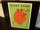 GIANT SAND - CENTER OF THE UNIVERSE org.1st.Press.aus 1992 in TOP-CONDITION