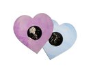 Taylor Swift - Lover (Live From Paris) - Heart Shaped Vinyl - 2LP Preorder