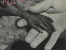 Dead Kennedys Plastic Surgery Disasters vinyl LP  record