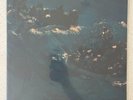 The Avalanches – Since I Left You 2LP 2004 12