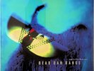 Dead Can Dance – Spiritchaser 2-LP (NEW Vinyl Reissue) 1996 Brendan Perry 4AD