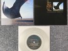 Pink Floyd   Keep Talking   Clear Wax   UK Picture Sleeve 45 w/ Poster   MINT-