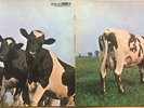 PINK FLOYD ATOM HEART MOTHER 1ST PRESS 1970 GERMAN HARVEST VINYL LP SHZE 297