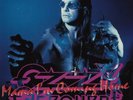 Ozzy Osbourne – Mama I'm Coming Home /Don't Blame Me ,VINYL,7