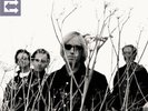 Tom Petty & Heartbreakers - Echo Remastered Vinyl 2LP Record Set - Brand New