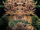 Shpongle - Codex VI [New Vinyl LP]