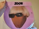 Tyler The Creator - Igor Faceless Picture Disc Vinyl In Hand Ready to Ship