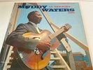 MUDDY WATERS 