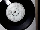 Outer Limits 7inch Single Im Not Your Steppin Stone No2