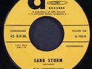 SPORTESMEN: dreaming / sand storm A 7