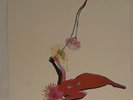 Future Islands - The Far Field  12