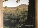 Andrew Bird - Noble Beast (2009) - Vinyl - NM/NM-