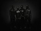 Weezer - Weezer (black Album) [New Vinyl LP]