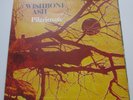 WISHBONE ASH 'PILGRIMAGE' ORIG UK RED BROWN LABEL'71 W/JAILBAIT ARCHIVE MINT