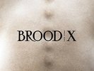 Boss Hog - Brood X [New Vinyl LP]