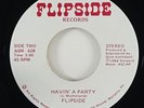 Flipside 