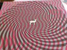 Cryptograms/Flourescent Grey by Deerhunter (Record, 2007)