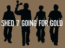 SHED SEVEN - GOING FOR GOLD 2X VINYL LP REMASTERED (NEW)