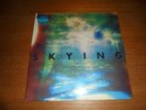 The Horrors Skying vinyl Lp record