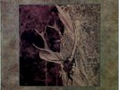My Dying Bride - I Am The Bloody Earth Maxi 1994 '*