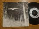 THE CURE - A Forest 7