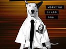 Rick Springfield WORKING CLASS DOG (40TH ANNV LIVE EDITION) New Colored Vinyl LP