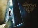Evanescence The Open Door (Vinyl) 12