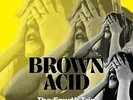 Various Artists - Brown Acid: Fourth Trip (Various Artists) [New Vinyl LP]