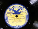 Bumble Bee Slim BLUEBIRD 6649 V 