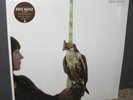 Dave Hause Devour 2013 Limited 2x Vinyl LP CLEAR 180g Record Gatefold NEW SEALED