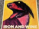 Iron And Wine The Shepherd's Dog LP VINYL Sub Pop 2007