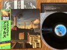 PINK FLOYD - ANIMALS - TOP JAPAN 12